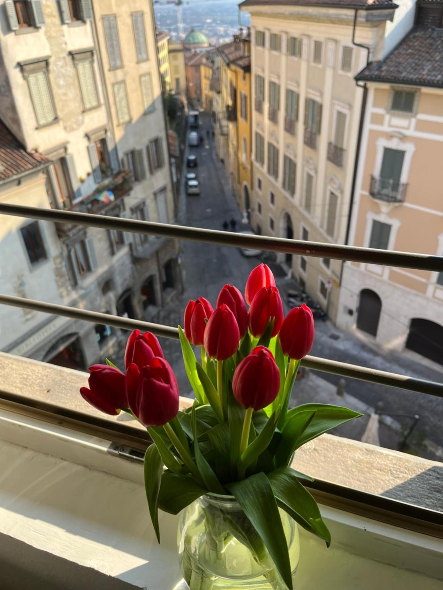 Funicolare Apartamento *